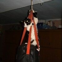 Гусейнова Ольга