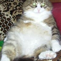 Марина