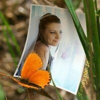 Наталья Лосева