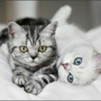 Ольга NEW