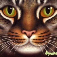 Марина