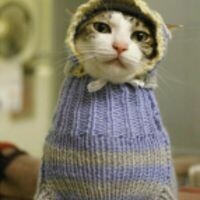 Банюшечка