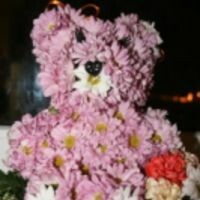 Никитина Ольга