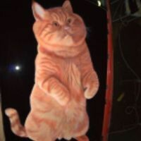 Дик Юлия