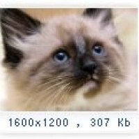 Ольга