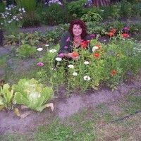 Сайгак Элина
