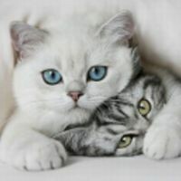 Оксана