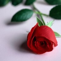 Катерина