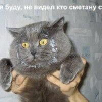Тамара