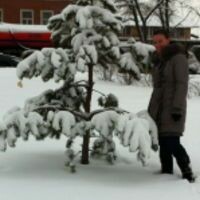 Алиния