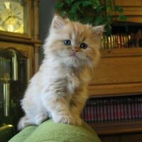 Марина