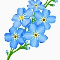 Незaбудкa