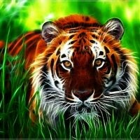катерина