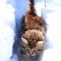 Олька