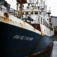 Бочарова Анастасия