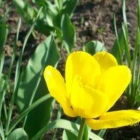 Наталия