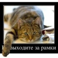 Анщутик