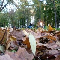 Ольчик Львеночик