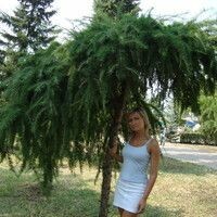 Данильченко Ирина