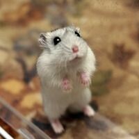 Ольга