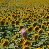 Наталья Соломинцева
