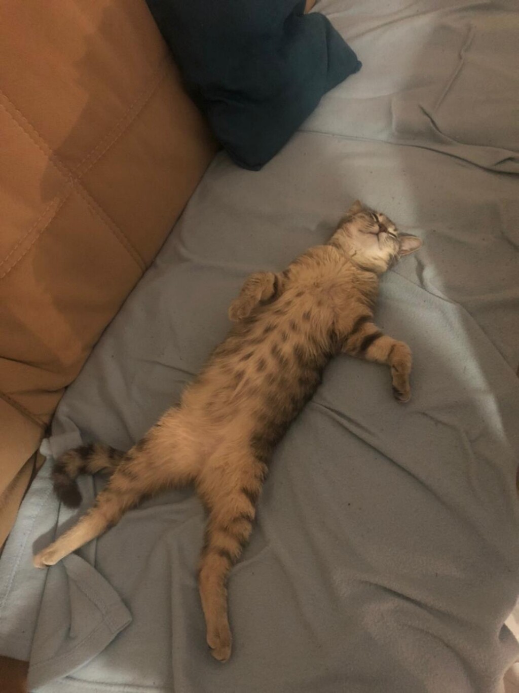 Юлия