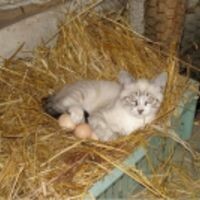 Марина