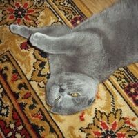 Анастасия