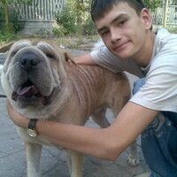 краснов василий