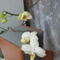 ЕкатеринаВасильевна