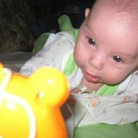 ANICA