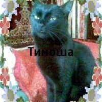 андрианова ирина