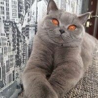 Татьяна
